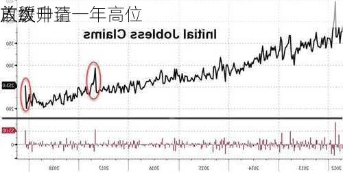 
首次申请
人数升至一年高位 
放缓