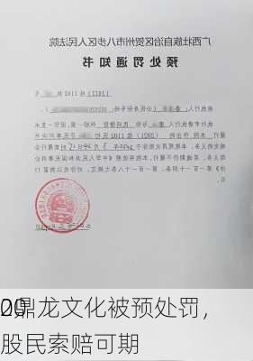 00
2鼎龙文化被预处罚，股民索赔可期