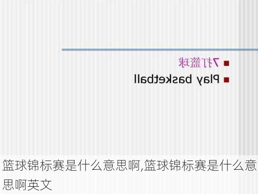 篮球锦标赛是什么意思啊,篮球锦标赛是什么意思啊英文