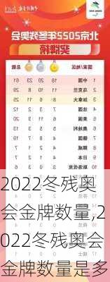 2022冬残奥会金牌数量,2022冬残奥会金牌数量是多少