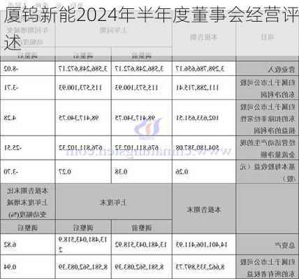 厦钨新能2024年半年度董事会经营评述