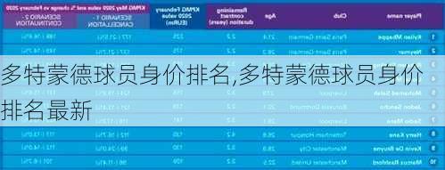 多特蒙德球员身价排名,多特蒙德球员身价排名最新