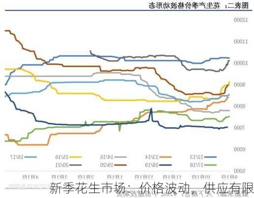 新季花生市场：价格波动，供应有限