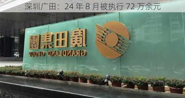 深圳广田：24 年 8 月被执行 72 万余元