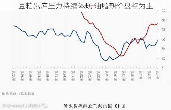 豆粕累库压力持续体现 油脂期价盘整为主