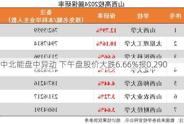 中北能盘中异动 下午盘股价大跌6.66%报0.290
