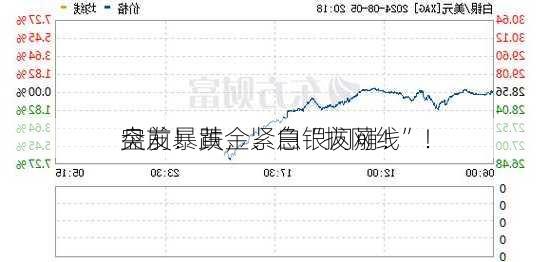 突发！黄金、白银闪崩！
盘前暴跌，紧急“拔网线”！