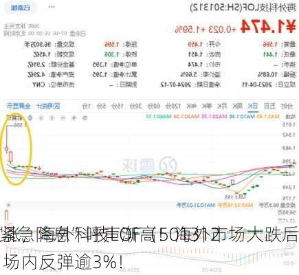 “紧急降息”呼声渐高！海外市场大跌后
拉涨，海外科技LOF（501312）场内反弹逾3%！