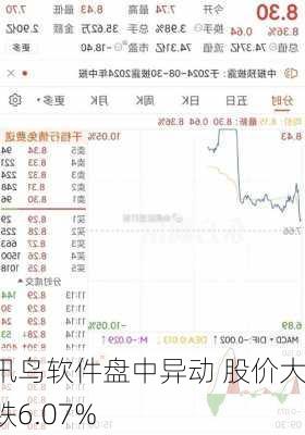 讯鸟软件盘中异动 股价大跌6.07%