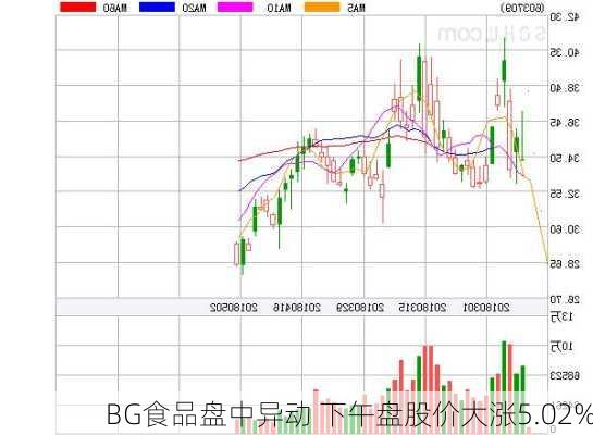 BG食品盘中异动 下午盘股价大涨5.02%