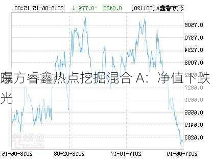 东方睿鑫热点挖掘混合 A：净值下跌，
曝光