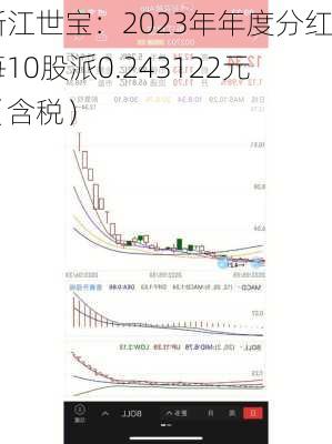 浙江世宝：2023年年度分红每10股派0.243122元（含税）