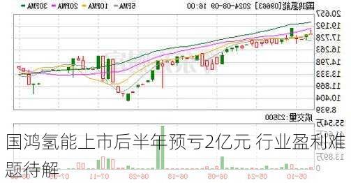 国鸿氢能上市后半年预亏2亿元 行业盈利难题待解