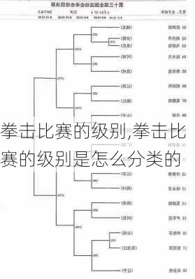 拳击比赛的级别,拳击比赛的级别是怎么分类的