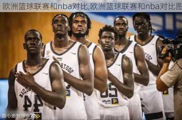 欧洲篮球联赛和nba对比,欧洲篮球联赛和nba对比图