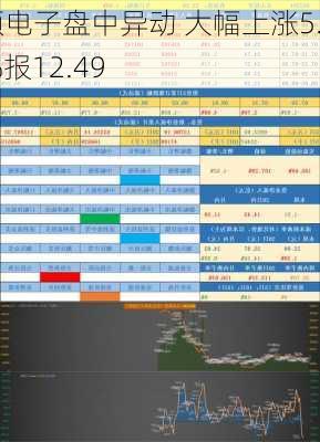 高频电子盘中异动 大幅上涨5.05%报12.49
