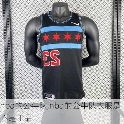 nba的公牛队,nba的公牛队衣服是不是正品