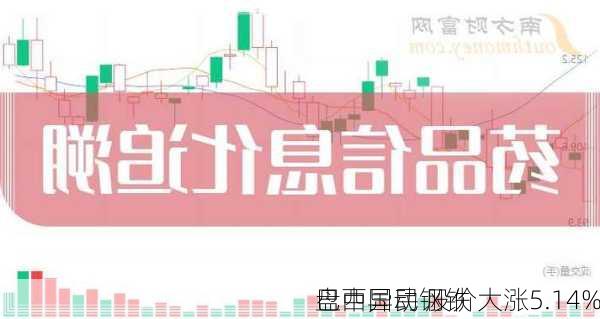 巴西国民钢铁
盘中异动 股价大涨5.14%