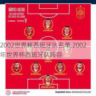 2002世界杯西班牙队名单,2002年世界杯西班牙队阵容