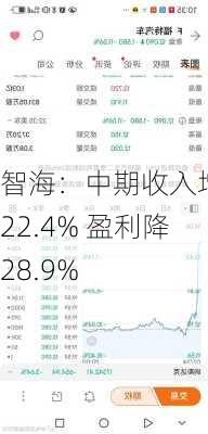 智海：中期收入增 422.4% 盈利降 28.9%