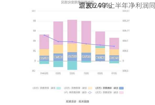 亚宝
：2024年上半年净利润同
增长6.99%