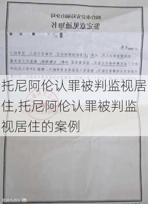 托尼阿伦认罪被判监视居住,托尼阿伦认罪被判监视居住的案例