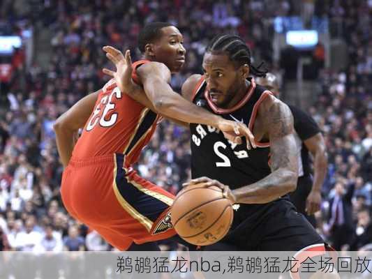 鹈鹕猛龙nba,鹈鹕猛龙全场回放