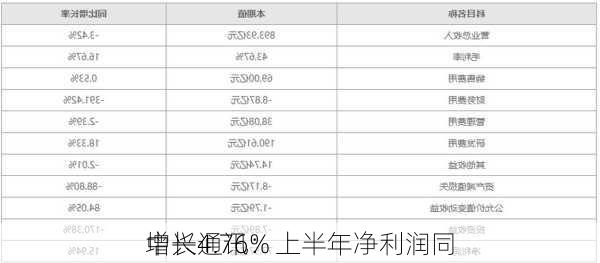 中兴通讯：上半年净利润同
增长4.76%