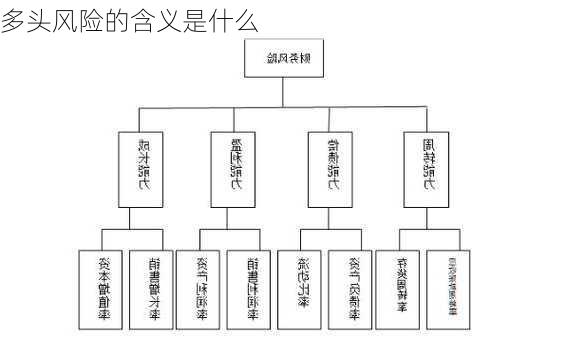 多头风险的含义是什么