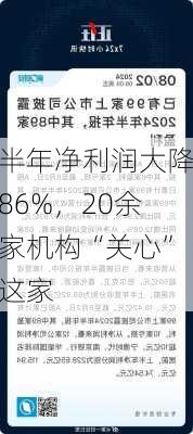 半年净利润大降86%，20余家机构“关心”这家
