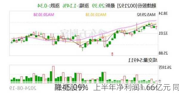 融捷股份：上半年净利润1.66亿元 同
降45.09%