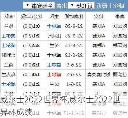 威尔士2022世界杯,威尔士2022世界杯成绩