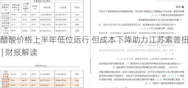 醋酸价格上半年低位运行 但成本下降助力江苏索普扭亏 | 财报解读