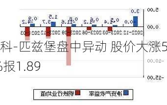 安博科-匹兹堡盘中异动 股价大涨5.00%报1.89
