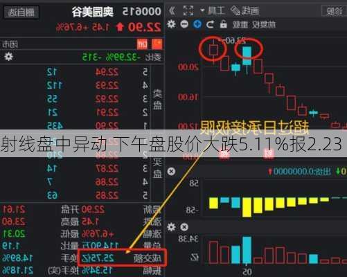 
射线盘中异动 下午盘股价大跌5.11%报2.23
