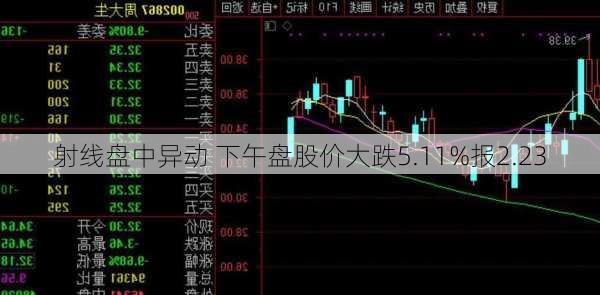 
射线盘中异动 下午盘股价大跌5.11%报2.23
