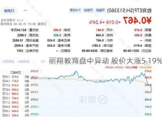 丽翔教育盘中异动 股价大涨5.19%