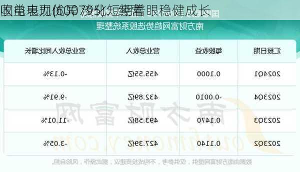 国电电力(600795)：经营
收益表现优异 淡化短期着眼稳健成长