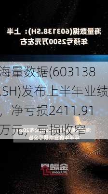 海量数据(603138.SH)发布上半年业绩，净亏损2411.91万元，亏损收窄