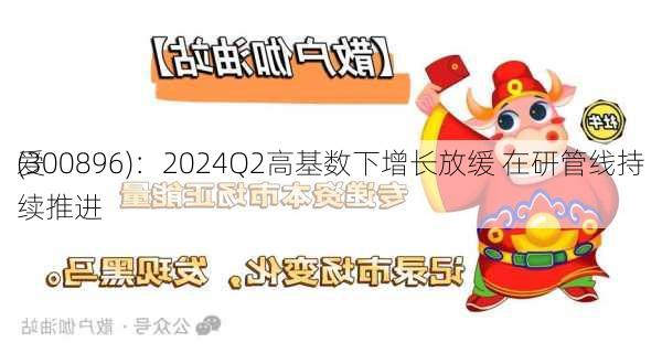 爱
(300896)：2024Q2高基数下增长放缓 在研管线持续推进