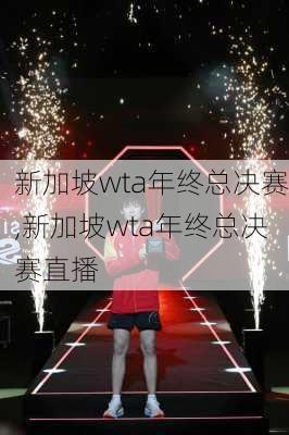 新加坡wta年终总决赛,新加坡wta年终总决赛直播