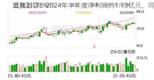 云赛智联：2024年半年度净利润约1.13亿元，同
增加21.78%