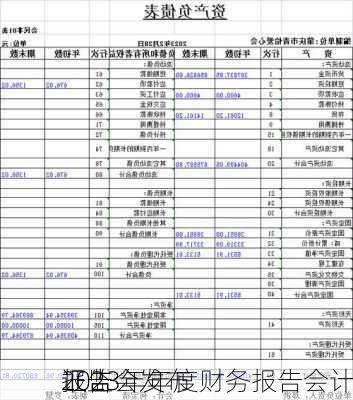 证监会发布
2023年年度财务报告会计
报告