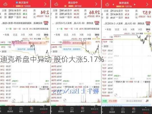 迪克希盘中异动 股价大涨5.17%