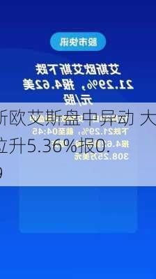 艾斯欧艾斯盘中异动 大幅拉升5.36%报0.759
