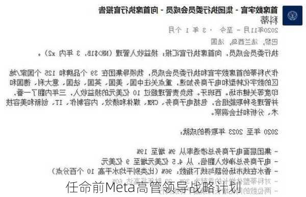 
任命前Meta高管领导战略计划