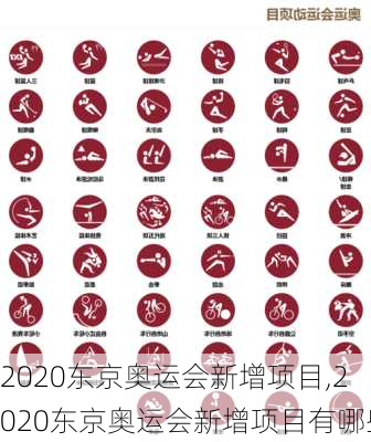 2020东京奥运会新增项目,2020东京奥运会新增项目有哪些