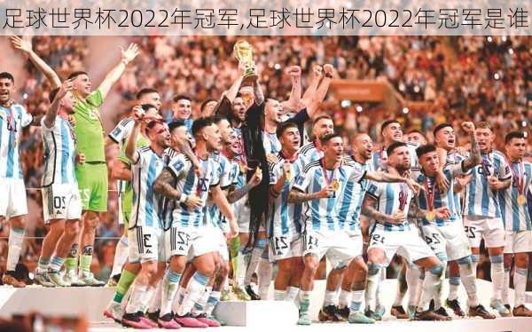 足球世界杯2022年冠军,足球世界杯2022年冠军是谁