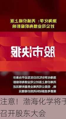 注意！渤海化学将于9月12
召开股东大会