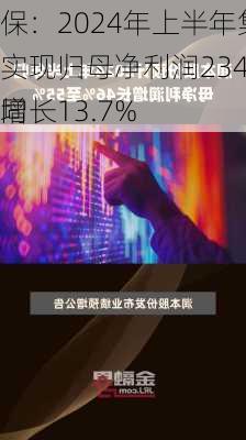 
保：2024年上半年集团实现归母净利润234亿元 同
增长13.7%